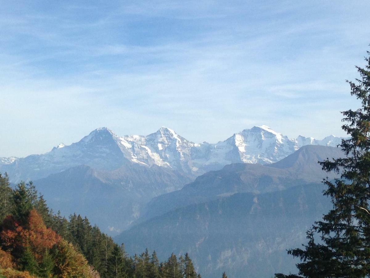 App. Seeblick Top Of Interlaken بيتنبرغ المظهر الخارجي الصورة