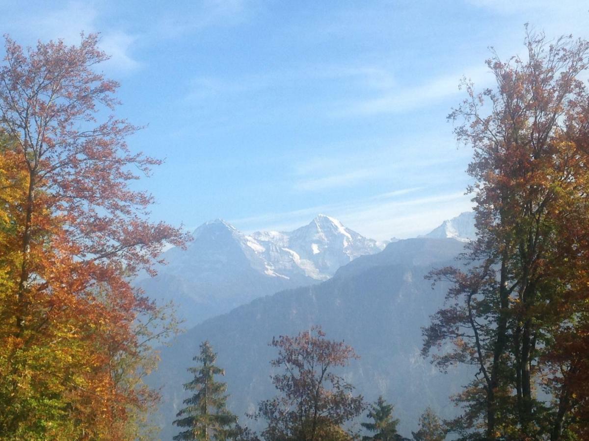 App. Seeblick Top Of Interlaken بيتنبرغ المظهر الخارجي الصورة