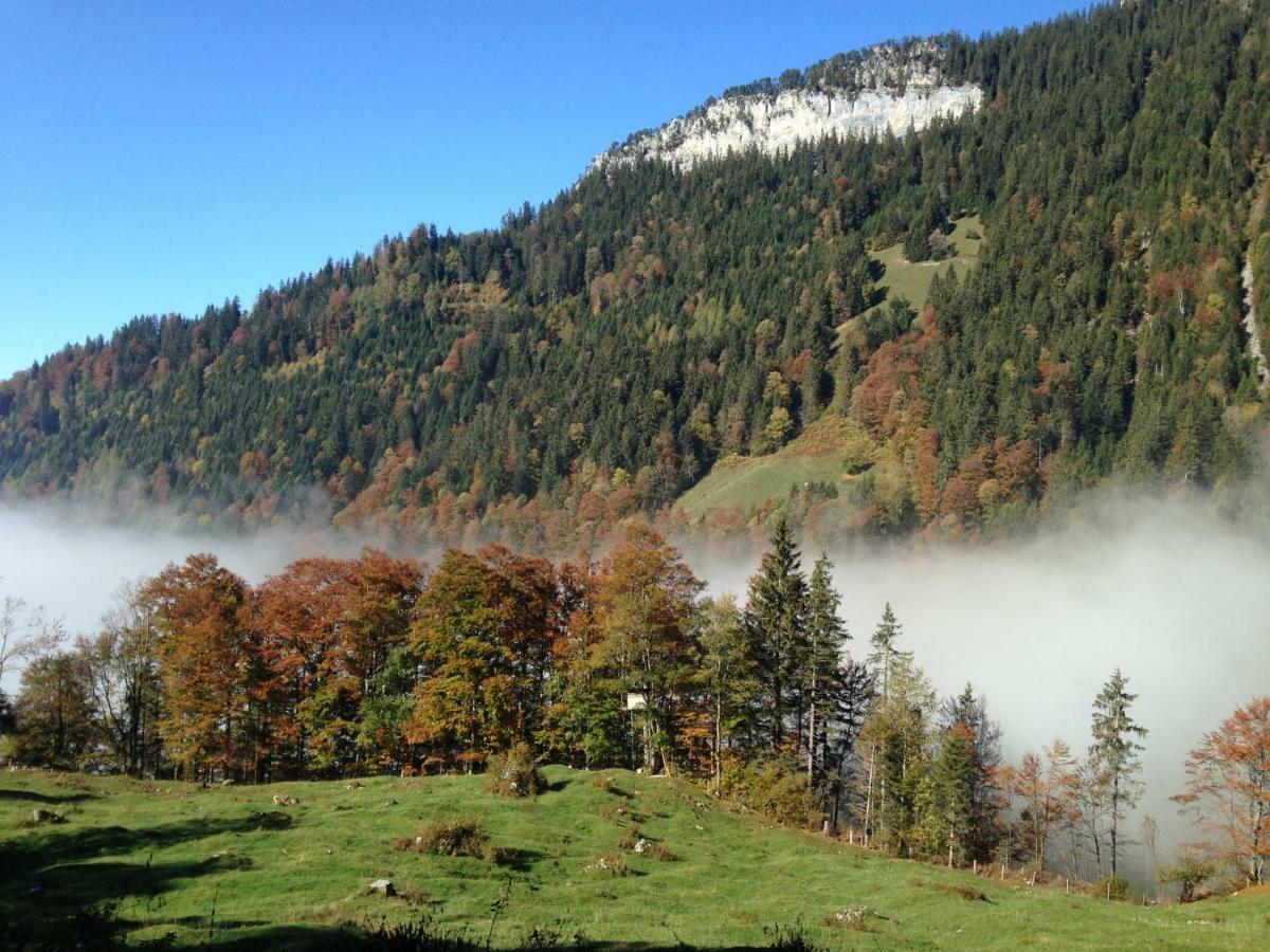 App. Seeblick Top Of Interlaken بيتنبرغ المظهر الخارجي الصورة