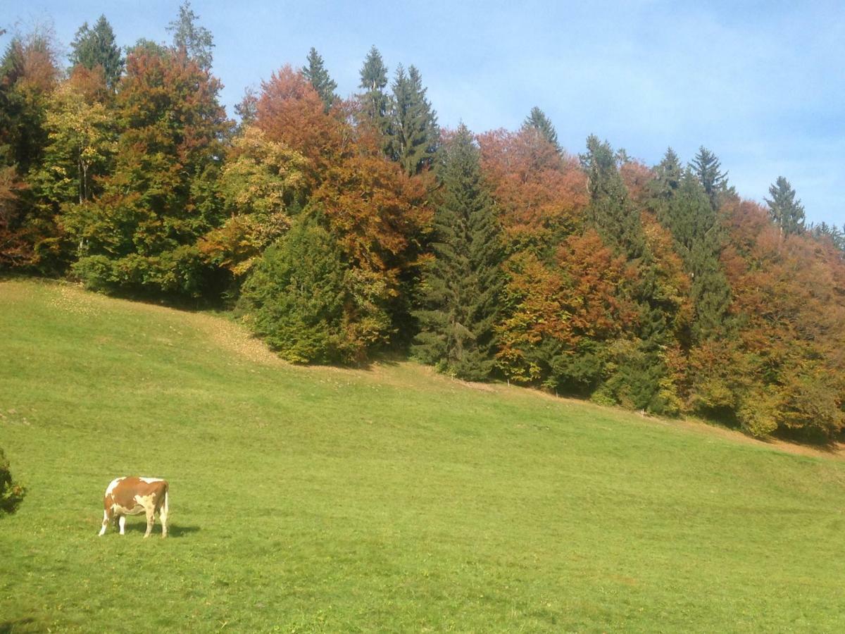 App. Seeblick Top Of Interlaken بيتنبرغ المظهر الخارجي الصورة