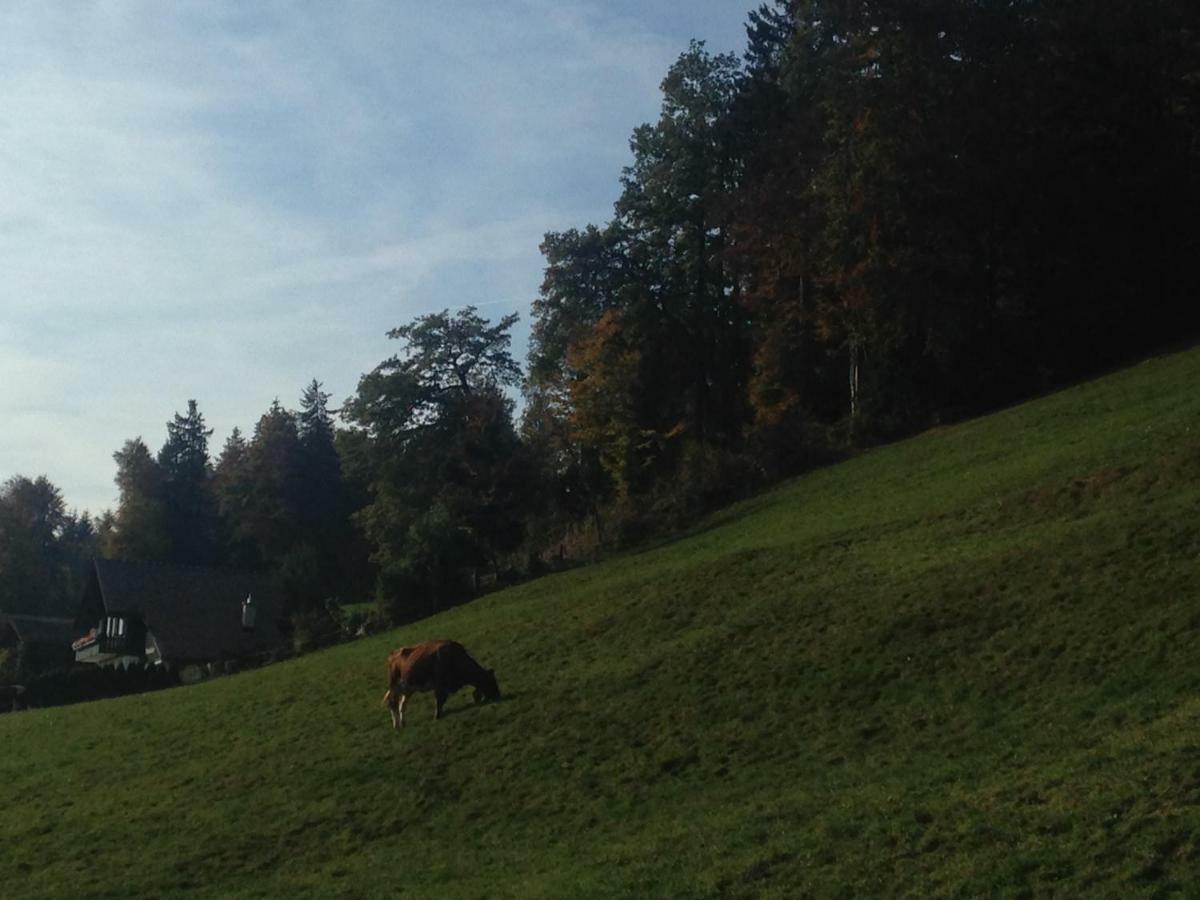App. Seeblick Top Of Interlaken بيتنبرغ المظهر الخارجي الصورة