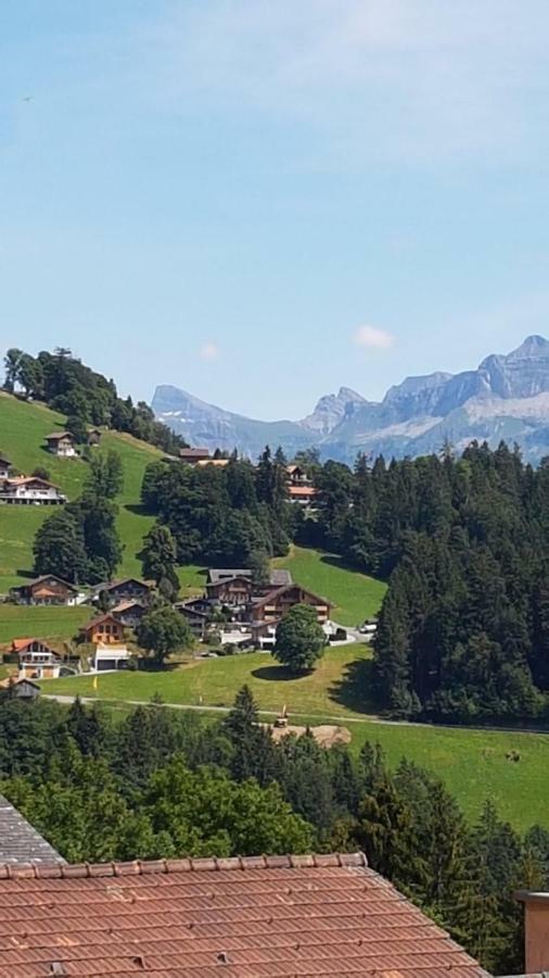 App. Seeblick Top Of Interlaken بيتنبرغ المظهر الخارجي الصورة